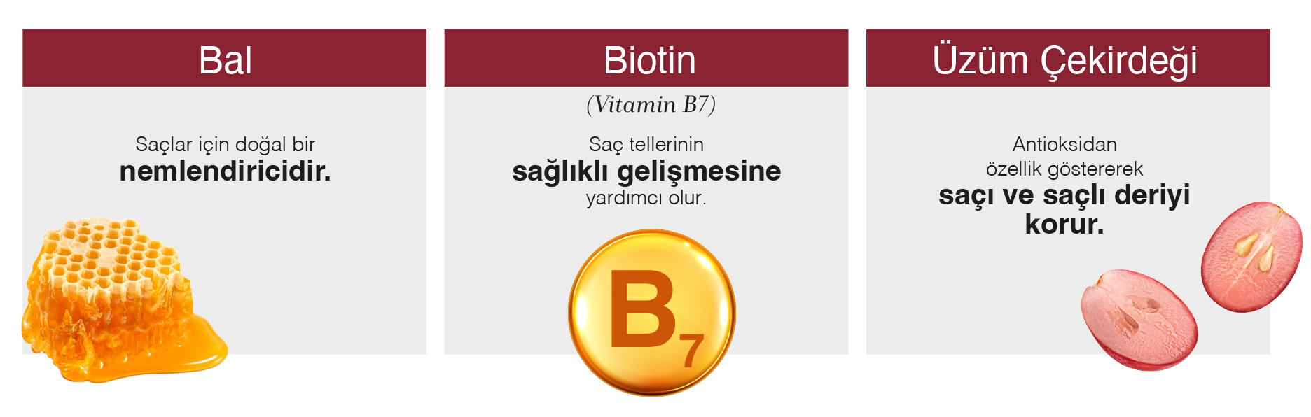 BioComplex B11