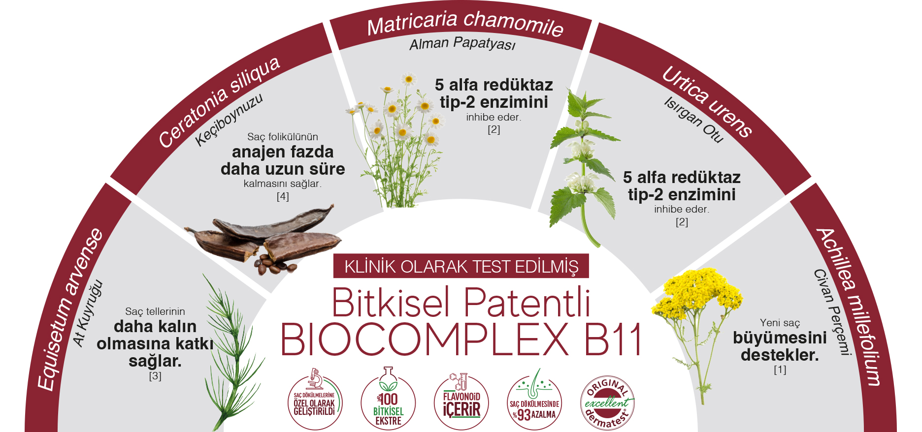 Biocomplex B11