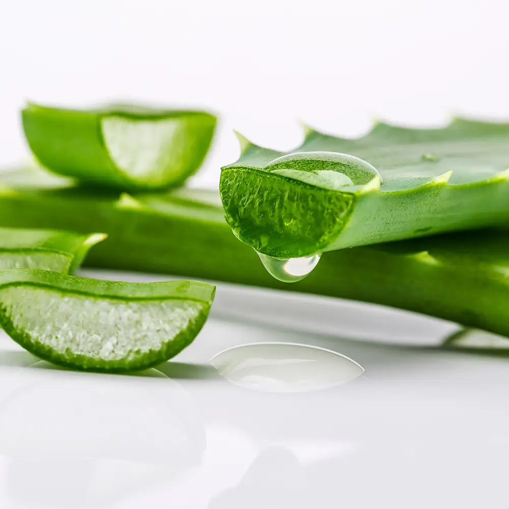 ALOE VERA