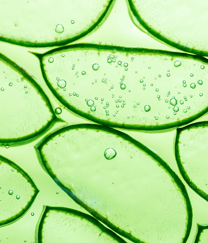 Aloe Vera Ne İşe Yarar? Nemli Bir Cilt İçin Aloe Vera Bakımı
